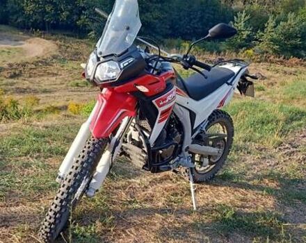 Червоний Лонкін LX 300GY-A, об'ємом двигуна 0.29 л та пробігом 8 тис. км за 2550 $, фото 11 на Automoto.ua