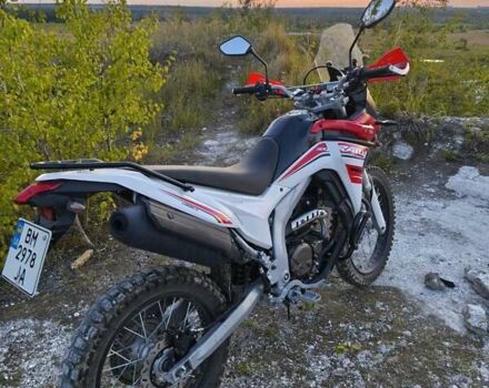 Червоний Лонкін LX 300GY-A, об'ємом двигуна 0.29 л та пробігом 8 тис. км за 2550 $, фото 2 на Automoto.ua