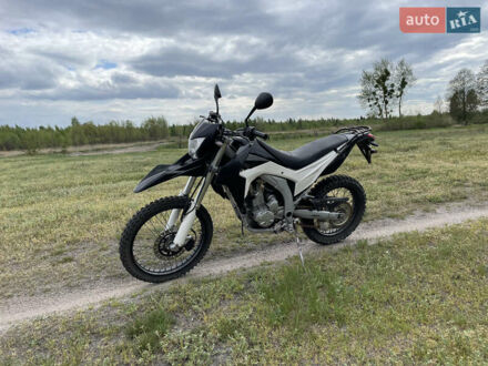 Лонкін LX 300GY 2019 у Камінь-Каширський на Automoto.ua Чорний Лонкін LX 300GY, об'ємом двигуна 0.29 л та пробігом 16 тис. км за 1750 $, фото 1 на Automoto.ua