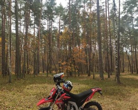 Червоний Лонкін LX 300GY, об'ємом двигуна 0.3 л та пробігом 13 тис. км за 2200 $, фото 7 на Automoto.ua