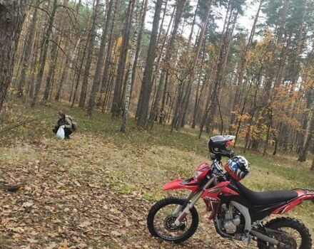 Червоний Лонкін LX 300GY, об'ємом двигуна 0.3 л та пробігом 13 тис. км за 2200 $, фото 6 на Automoto.ua