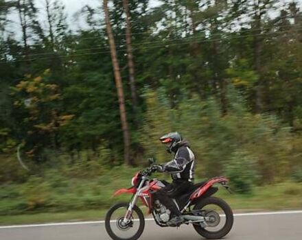 Червоний Лонкін LX 300GY, об'ємом двигуна 0.3 л та пробігом 13 тис. км за 2200 $, фото 9 на Automoto.ua