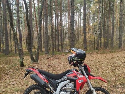 Лонкін LX 300GY 2019 у Житомирі на Automoto.ua Червоний Лонкін LX 300GY, об'ємом двигуна 0.3 л та пробігом 13 тис. км за 2200 $, фото 1 на Automoto.ua