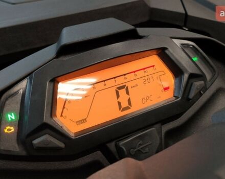 купить новое авто Лонкин XWOLF 300 2024 года от официального дилера АртМото Хмельницький Лонкин фото