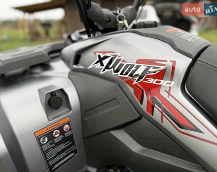 Серый Лонкин XWOLF 300, объемом двигателя 0 л и пробегом 1 тыс. км за 3990 $, фото 13 на Automoto.ua