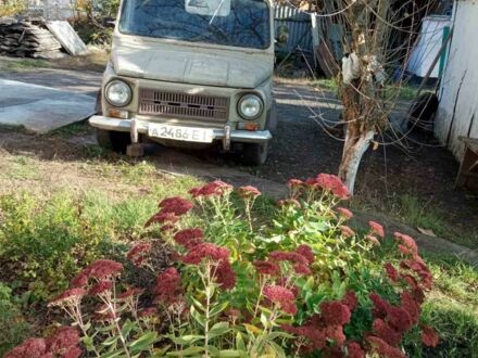 ЛуАЗ 969 Волинь 1992 в Малой Виске на Automoto.ua Бежевый ЛуАЗ 969 Волинь, объемом двигателя 0 л и пробегом 30 тыс. км за 1100 $, фото 1 на Automoto.ua