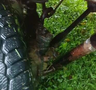 Красный ЛуАЗ 969 Волинь, объемом двигателя 1.3 л и пробегом 100 тыс. км за 2400 $, фото 12 на Automoto.ua