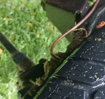 Красный ЛуАЗ 969 Волинь, объемом двигателя 1.3 л и пробегом 100 тыс. км за 2400 $, фото 11 на Automoto.ua