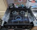 Белый Лунар Queen 495, объемом двигателя 0 л и пробегом 50 тыс. км за 9550 $, фото 18 на Automoto.ua