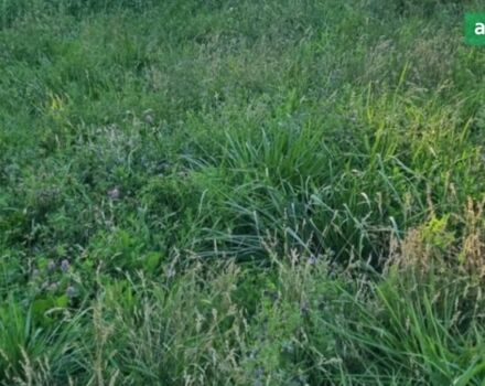 Львівсільмаш ОП 2000, об'ємом двигуна 0 л та пробігом 100 тис. км за 4500 $, фото 2 на Automoto.ua