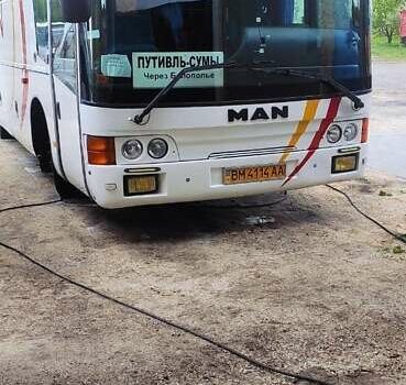 Белый МАН 11.190, объемом двигателя 6.9 л и пробегом 650 тыс. км за 8999 $, фото 2 на Automoto.ua