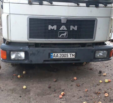 Білий МАН 12.192, об'ємом двигуна 6 л та пробігом 550 тис. км за 9000 $, фото 1 на Automoto.ua