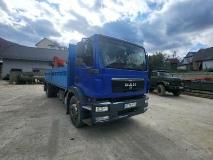 Синій МАН 18, об'ємом двигуна 0 л та пробігом 500 тис. км за 43000 $, фото 1 на Automoto.ua