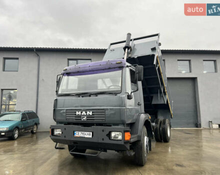 Серый МАН 18.220, объемом двигателя 6.87 л и пробегом 300 тыс. км за 29999 $, фото 2 на Automoto.ua