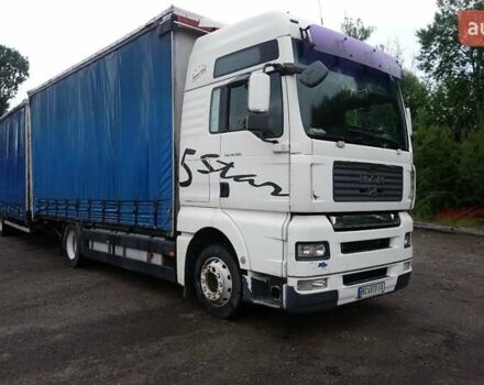 Білий МАН 18.360, об'ємом двигуна 10 л та пробігом 1 тис. км за 19500 $, фото 1 на Automoto.ua