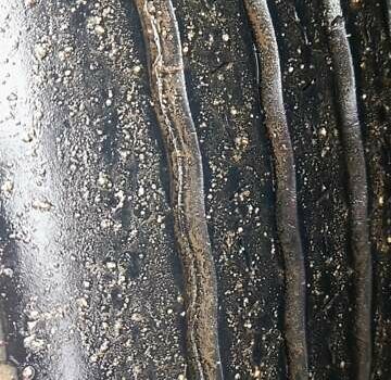 Синий МАН 18.410, объемом двигателя 0 л и пробегом 100 тыс. км за 8500 $, фото 6 на Automoto.ua