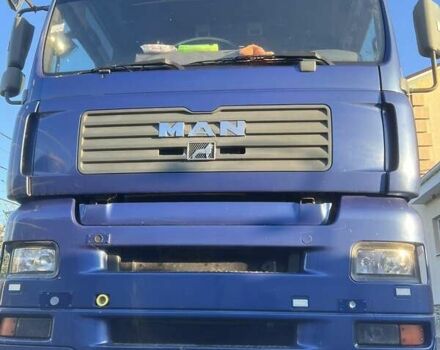 Синий МАН 18.413, объемом двигателя 11.9 л и пробегом 900 тыс. км за 9000 $, фото 1 на Automoto.ua