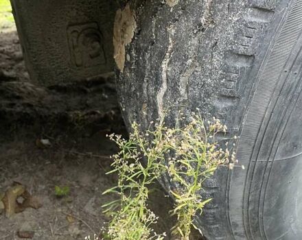 МАН 18.480 2012 у Каменце-Подольском на Automoto.ua Червоний МАН 18.480, об'ємом двигуна 12.8 л та пробігом 1 тис. км за 28300 $, фото 20 на Automoto.ua