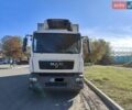Белый МАН 18.250, объемом двигателя 6.9 л и пробегом 960 тыс. км за 28500 $, фото 20 на Automoto.ua