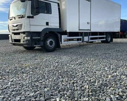 Белый МАН 18.250, объемом двигателя 6.8 л и пробегом 500 тыс. км за 38000 $, фото 8 на Automoto.ua