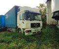 Белый МАН 19, объемом двигателя 12 л и пробегом 5 тыс. км за 8000 $, фото 1 на Automoto.ua