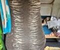Зеленый МАН 19.362, объемом двигателя 11.97 л и пробегом 800 тыс. км за 3500 $, фото 20 на Automoto.ua
