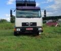 МАН 8.163, об'ємом двигуна 0 л та пробігом 460 тис. км за 18500 $, фото 2 на Automoto.ua
