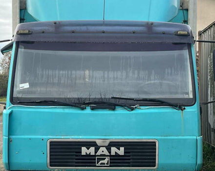 Зеленый МАН 8.163, объемом двигателя 4.58 л и пробегом 526 тыс. км за 8000 $, фото 1 на Automoto.ua