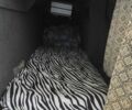 Білий МАН А03, об'ємом двигуна 11.97 л та пробігом 800 тис. км за 15250 $, фото 3 на Automoto.ua