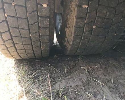 МАН Ф, об'ємом двигуна 12 л та пробігом 0 тис. км за 11900 $, фото 3 на Automoto.ua