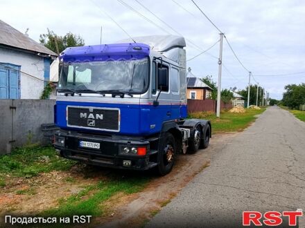 Серый МАН Ф, объемом двигателя 12 л и пробегом 650 тыс. км за 5500 $, фото 1 на Automoto.ua