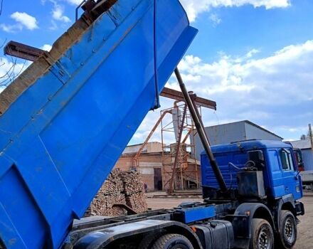 Синій МАН Ф, об'ємом двигуна 12 л та пробігом 0 тис. км за 33000 $, фото 6 на Automoto.ua