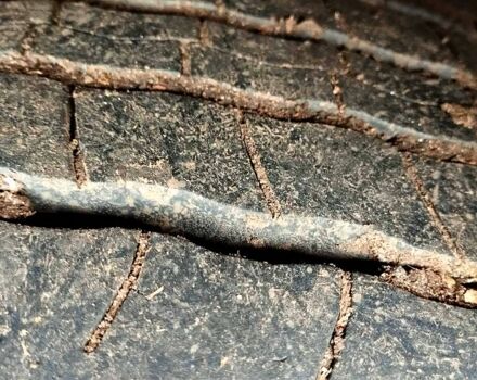 МАН L 1998 у Лозовой на Automoto.ua Білий МАН L, об'ємом двигуна 4.5 л та пробігом 350 тис. км за 9000 $, фото 2 на Automoto.ua