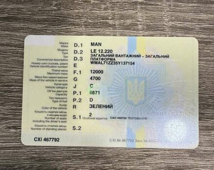 Зелений МАН ЛЄ 12.220, об'ємом двигуна 6.87 л та пробігом 300 тис. км за 10000 $, фото 27 на Automoto.ua