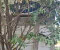 Синій МАН М 2000 М, об'ємом двигуна 6.9 л та пробігом 635 тис. км за 9000 $, фото 6 на Automoto.ua