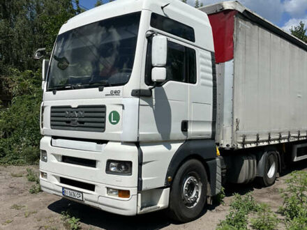 МАН TGA 2005 у Лубнах на Automoto.ua Білий МАН TGA, об'ємом двигуна 10.52 л та пробігом 900 тис. км за 7500 $, фото 1 на Automoto.ua