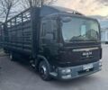 МАН ТГА, объемом двигателя 4.6 л и пробегом 550 тыс. км за 30000 $, фото 1 на Automoto.ua