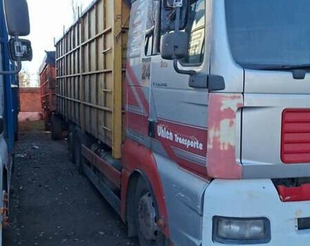 Сірий МАН TGA, об'ємом двигуна 10.52 л та пробігом 345 тис. км за 10300 $, фото 1 на Automoto.ua