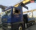 Синий МАН ТГА, объемом двигателя 10.5 л и пробегом 10 тыс. км за 56999 $, фото 15 на Automoto.ua