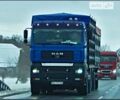 Синий МАН ТГА, объемом двигателя 12.5 л и пробегом 1 тыс. км за 22000 $, фото 1 на Automoto.ua