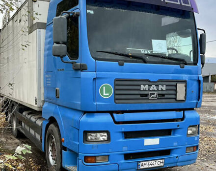 Синій МАН TGA, об'ємом двигуна 12.82 л та пробігом 1000 тис. км за 21999 $, фото 3 на Automoto.ua