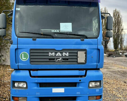 Синій МАН TGA, об'ємом двигуна 12.82 л та пробігом 1000 тис. км за 21999 $, фото 5 на Automoto.ua