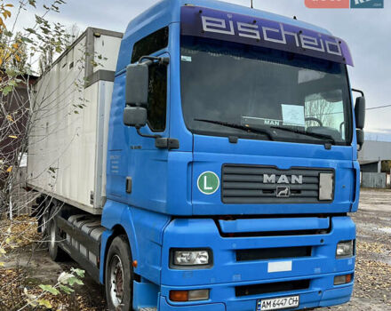 Синій МАН TGA, об'ємом двигуна 12.82 л та пробігом 1000 тис. км за 21999 $, фото 1 на Automoto.ua