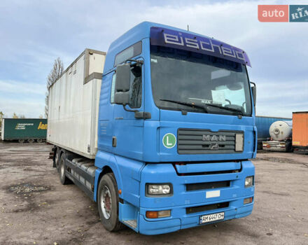 Синій МАН TGA, об'ємом двигуна 12.82 л та пробігом 1000 тис. км за 21999 $, фото 9 на Automoto.ua