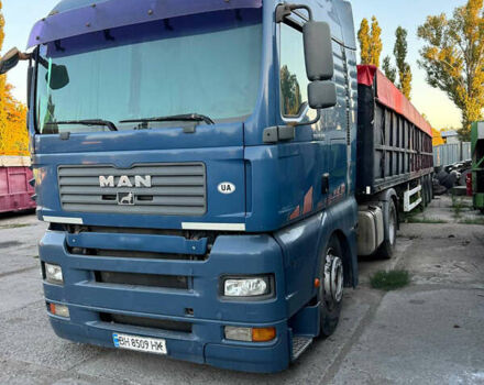 Синій МАН TGA, об'ємом двигуна 10.5 л та пробігом 1 тис. км за 9500 $, фото 1 на Automoto.ua