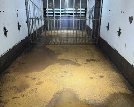 Білий МАН TGL, об'ємом двигуна 4.58 л та пробігом 10 тис. км за 25000 $, фото 4 на Automoto.ua