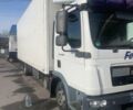 Белый МАН ТГЛ, объемом двигателя 4.6 л и пробегом 662 тыс. км за 21500 $, фото 46 на Automoto.ua