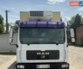 Белый МАН ТГЛ, объемом двигателя 4.6 л и пробегом 240 тыс. км за 16500 $, фото 1 на Automoto.ua