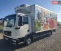 Белый МАН ТГЛ, объемом двигателя 4.6 л и пробегом 384 тыс. км за 29900 $, фото 7 на Automoto.ua