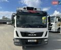 Белый МАН ТГЛ, объемом двигателя 4.6 л и пробегом 410 тыс. км за 31900 $, фото 15 на Automoto.ua